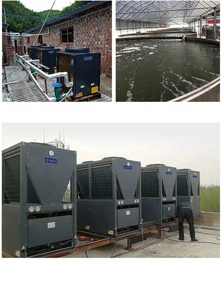 R744 CO2 एयर सोर्स हीट पंप वॉटर हीटर आवासीय 90 डिग्री डोरिन कंप्रेसर के साथ